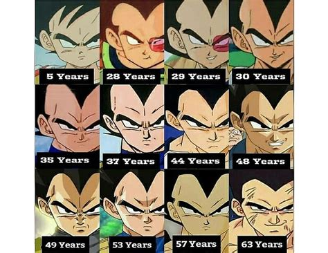 dbz character ages|is vegeta older than bulma.